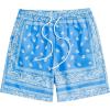 Blue & White Paisley