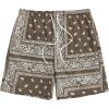 Brown Paisley