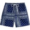 Deep Blue Paisley