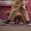 imageAllbirds Mens Wool Runners Everyday Sneakers Machine Washable Shoe Made with Natural MaterialsSavanna Night