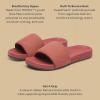 image:imageAllbirds Womens Slide Cushioned Lightweight Sandals for Everyday StyleSpice
