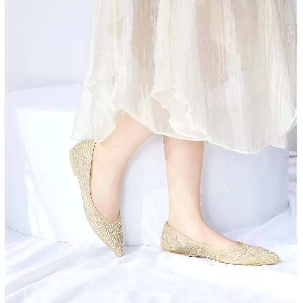 Felix &amp; Flora Women's Ballet Flats Comfortable Classy Dress Shoes for Wedding Party Daily