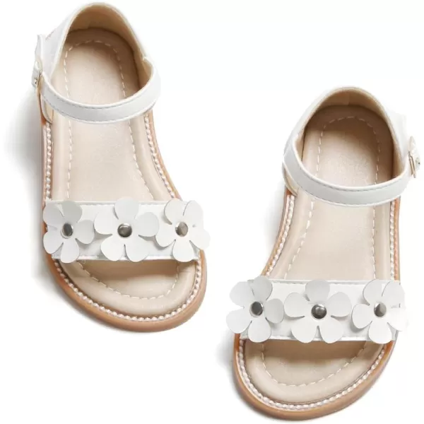 Bc240-white