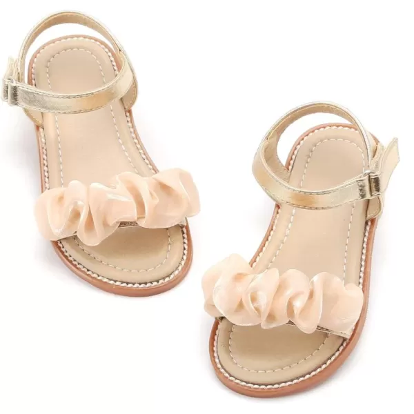 Bc268-champagne