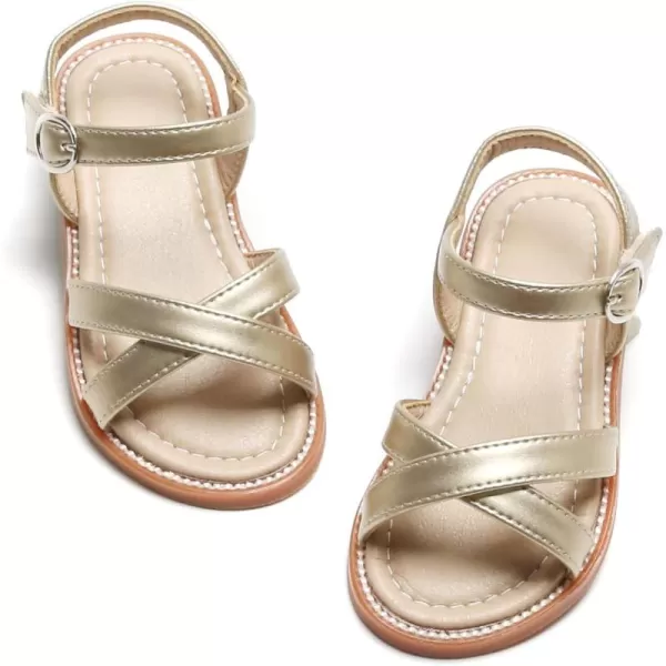 Bc246-gold