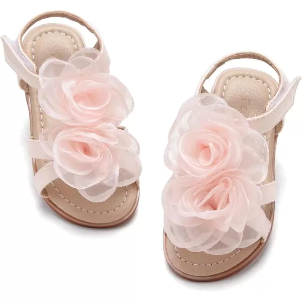 Bc254-nude Pink