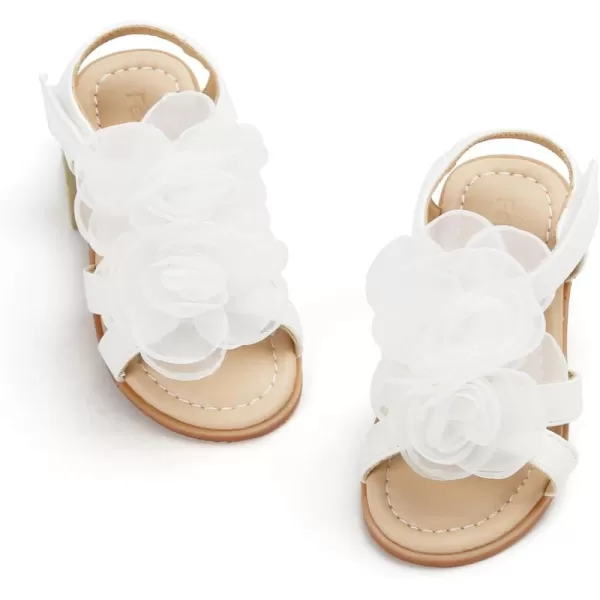 Bc254-white