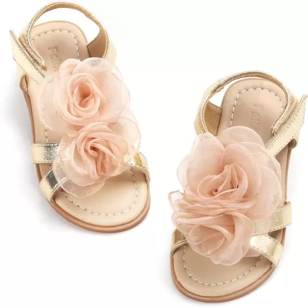 Bc254-champagne