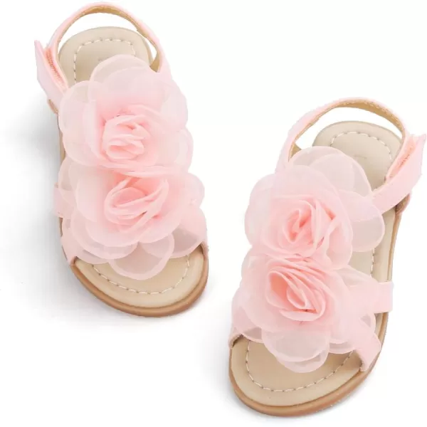 Bc254-pink