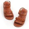 Bc285-brown