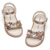 Bc317-champagne