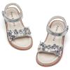Bc317-silver