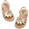 Bc264-gold