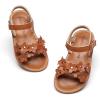 Bc308-brown