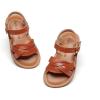 Bc310-brown
