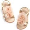 Bc254-champagne