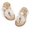 Bc298-glitter Gold