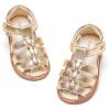 Bc319-gold