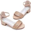 imageFelix ampamp Flora Girls Sandals Low Heels Open Toe Flower Girl Dress ShoesBq01champagne Gold