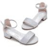 imageFelix ampamp Flora Girls Sandals Low Heels Open Toe Flower Girl Dress ShoesBq01silver