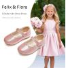 imageFelix ampamp Flora Girls Toddler Little Ballet Shoes  Flower Girls Mary Jane Flats Dress Shoes Party WeddingB883pink