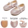 imageFelix ampamp Flora Girls Toddler Little Ballet Shoes  Flower Girls Mary Jane Flats Dress Shoes Party WeddingB889pink