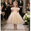 imageFelix ampamp Flora Toddler Little Girl Flat Oxfords Dress Shoes  Mary Jane Princess for Girl Party School ShoesB419gold