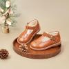 imageFelix ampamp Flora Toddler Little Girl Mary Jane Dress Shoes  Ballet Flats for Easter Flower Girl Party School ShoesB407brown