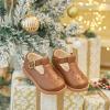 imageFelix ampamp Flora Toddler Little Girl Mary Jane Dress Shoes  Ballet Flats for Girl Party School ShoesB366retro Brown