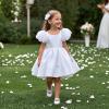 imageFelix ampamp Flora Toddler Girl Dress Shoes  Flower Girl Ballet Mary Jane Flats Party School WeddingB869fl White