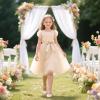 imageFelix ampamp Flora Toddler Girl Dress Shoes  Flower Girl Ballet Mary Jane Flats Party School WeddingBf09s Dark Nude