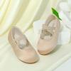 imageFelix ampamp Flora Toddler Girl Dress Shoes  Flower Girl Ballet Mary Jane Flats Party School WeddingBf09s Dark Nude