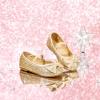 image:imageFelix amp Flora Toddler Flower Girl Mary Jane Shoes  Little Girls Dress Flats Princess Wedding PartyBh25gold