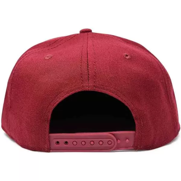 DALIX Mushroom Embroidered Glow in The Dark Hat Snapback Hat Baseball Cap Men