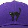 imageDALIX Black Cat Hat Womens Halloween Baseball CapPurple
