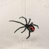 imageDALIX Black Widow Spider Hat Mens Womens Baseball CapBeige