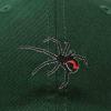 imageDALIX Black Widow Spider Hat Mens Womens Baseball CapDark Green