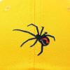imageDALIX Black Widow Spider Hat Mens Womens Baseball CapGold