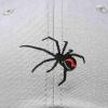 imageDALIX Black Widow Spider Hat Mens Womens Baseball CapGray