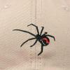 imageDALIX Black Widow Spider Hat Mens Womens Baseball CapKhaki