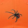 imageDALIX Black Widow Spider Hat Mens Womens Baseball CapOrange