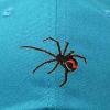 imageDALIX Black Widow Spider Hat Mens Womens Baseball CapTeal