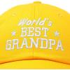 imageDALIX Worlds Best Grandpa Dad Hat Grandfather Gift Cotton CapGold