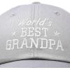 imageDALIX Worlds Best Grandpa Dad Hat Grandfather Gift Cotton CapGray