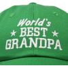 imageDALIX Worlds Best Grandpa Dad Hat Grandfather Gift Cotton CapKelly Green