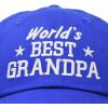 imageDALIX Worlds Best Grandpa Dad Hat Grandfather Gift Cotton CapRoyal Blue