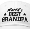 imageDALIX Worlds Best Grandpa Dad Hat Grandfather Gift Cotton CapWhite