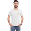 imageDALIX Alpha Psi Lambda Greek Letters TShirt Mens Embroidered Fraternity ShirtAsh Gray