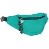 imageDALIX Fanny Pack w 3 Pockets Traveling Concealment Pouch Airport Money BagAqua
