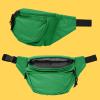 imageDALIX Fanny Pack w 3 Pockets Traveling Concealment Pouch Airport Money BagGreen